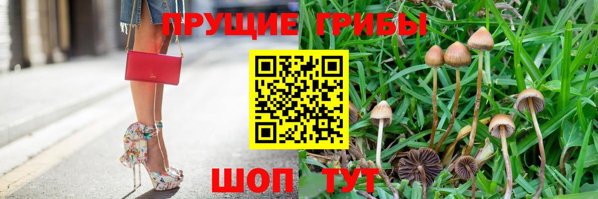 Галлюциногенные грибы GOLDEN TEACHER Реж