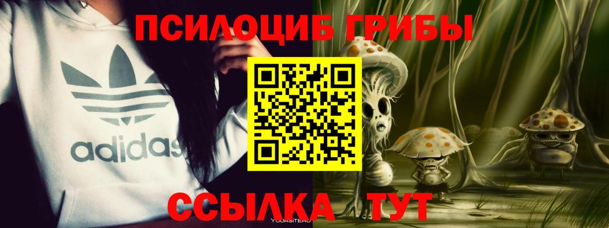 Реж  Галлюциногенные грибы Cubensis  Вход с VPN 